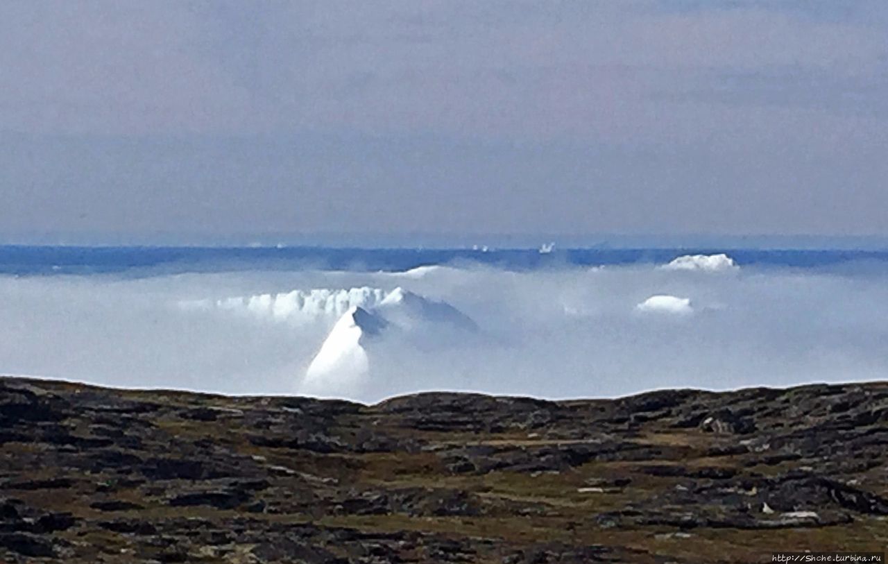 Туманные перспективы Илулиссат, Гренландия