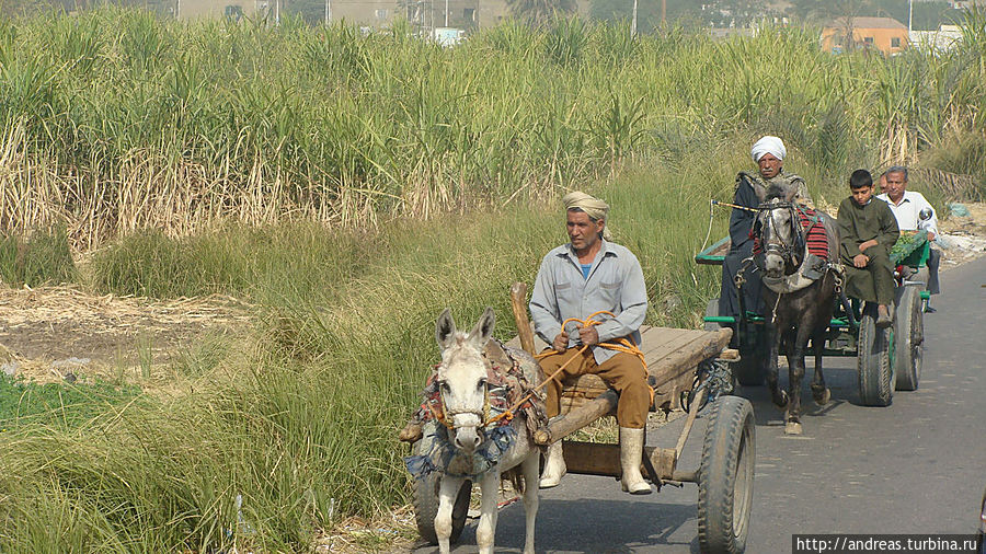 Транспорт бедняков Транспорт бедняков