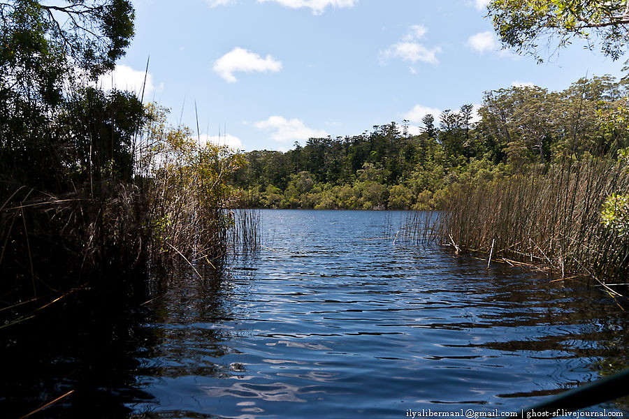 #1 Lake Allom озеро с черепашками Остров Фрейзер, Австралия