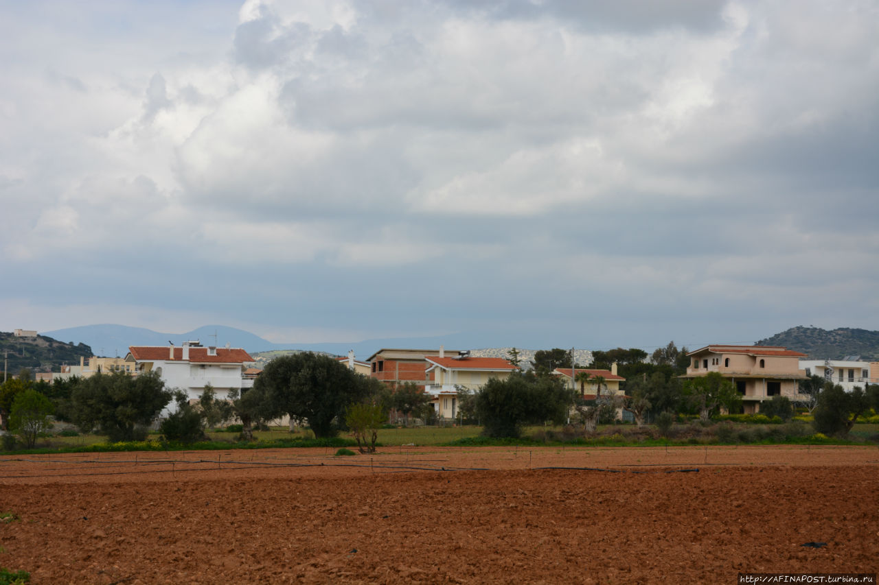 Весенний Лагонисси Аттика, Греция Весенний Лагонисси Аттика, Греция