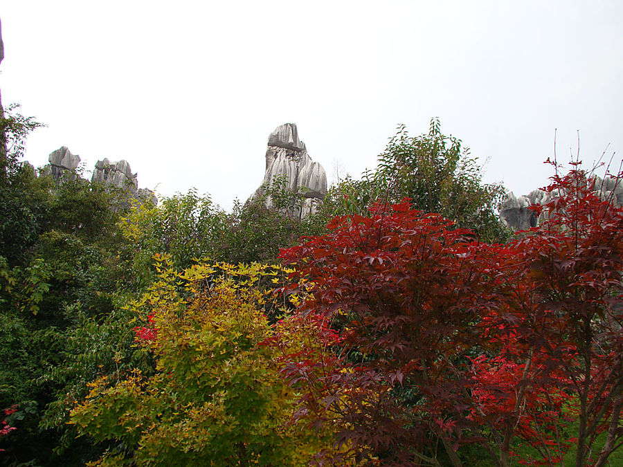 Осень в Каменном лесу Куньмин, Китай