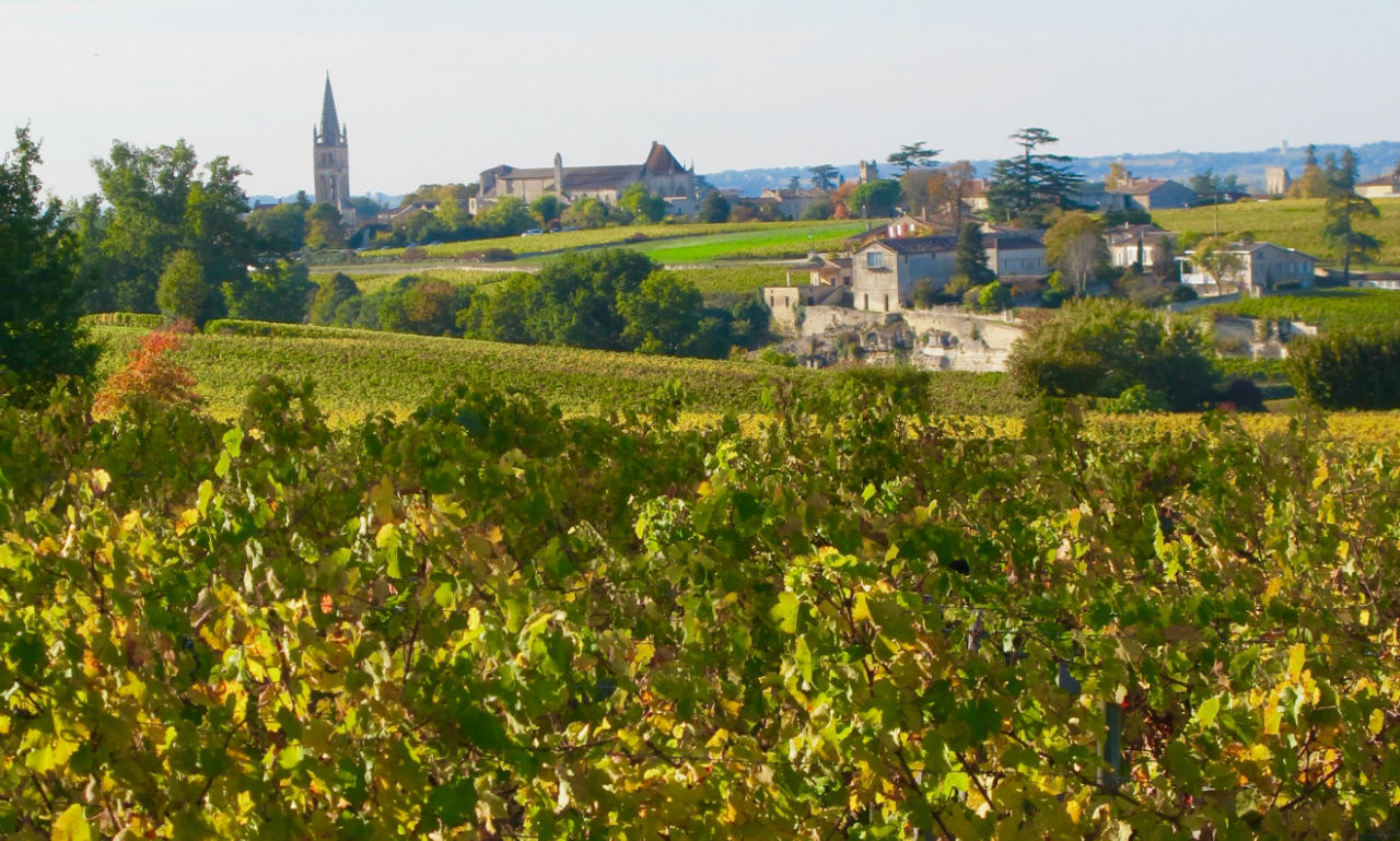 Винодельческие хозяйства Сент-Эмильона / Vineyards of Saint-Émilion