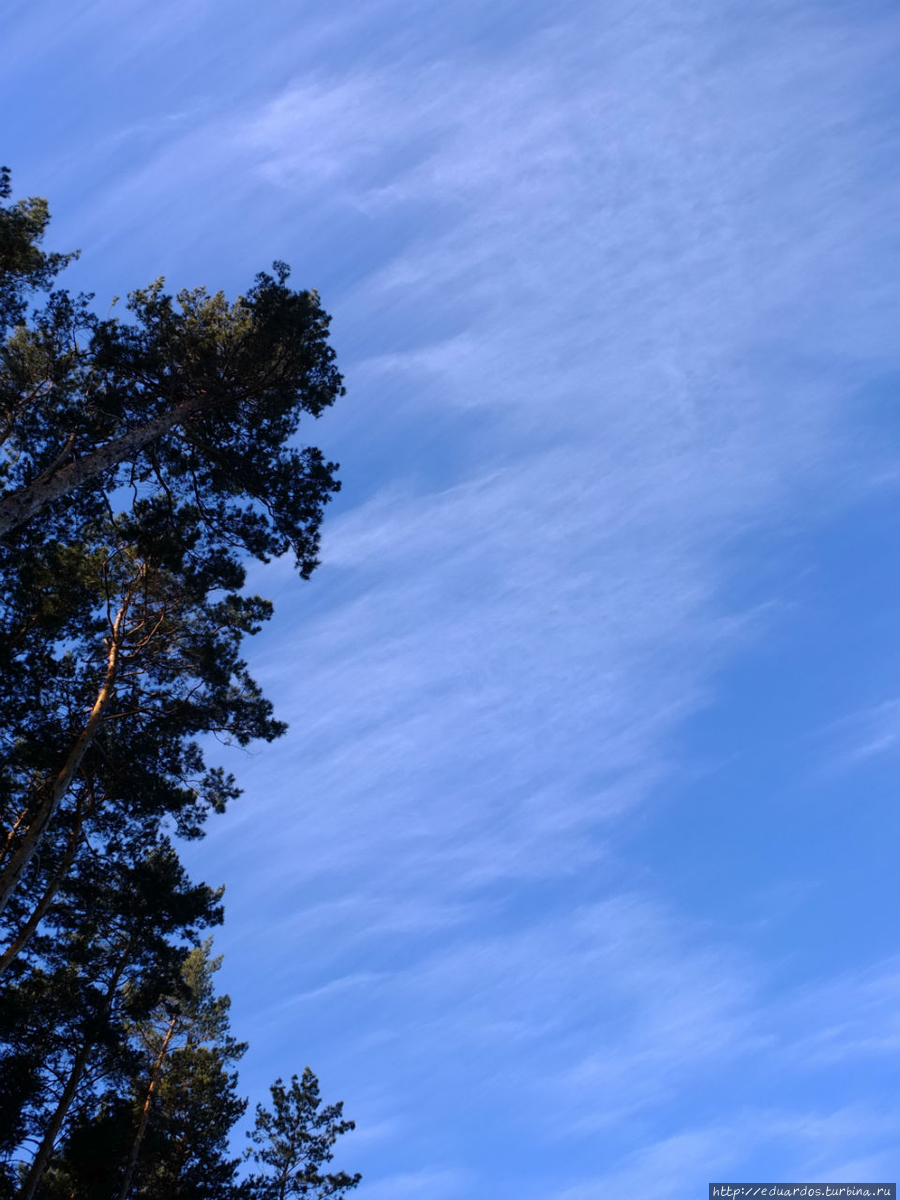 Я в весеннем лесу....пил))) Красноярск, Россия Я в весеннем лесу....пил))) Красноярск, Россия