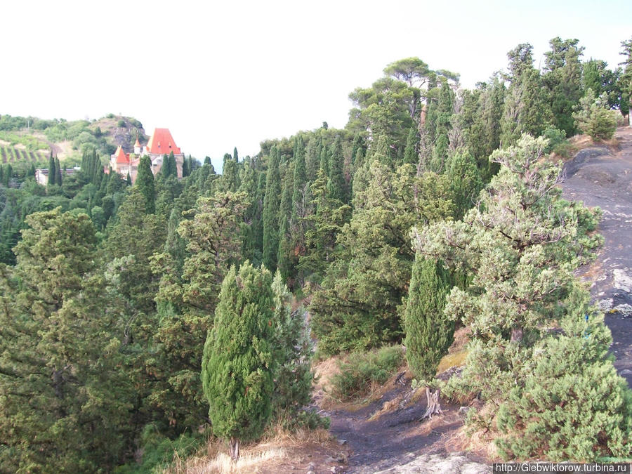 Прогулка по поселку Утес после дождя Утес, Россия Прогулка по поселку Утес после дождя Утес, Россия