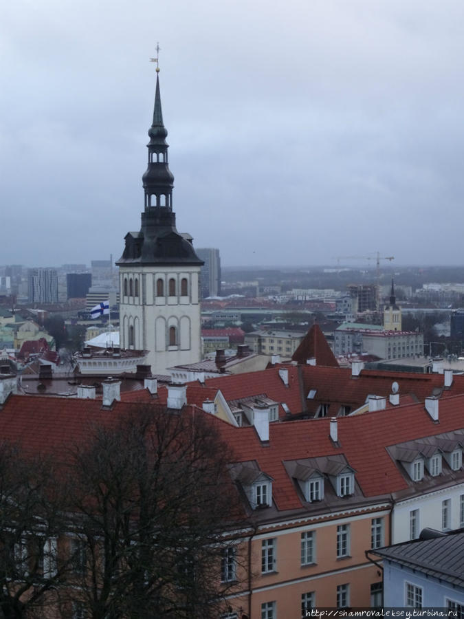 Таллин. Панорамы города с высоты колокольни Домского собора Таллин, Эстония