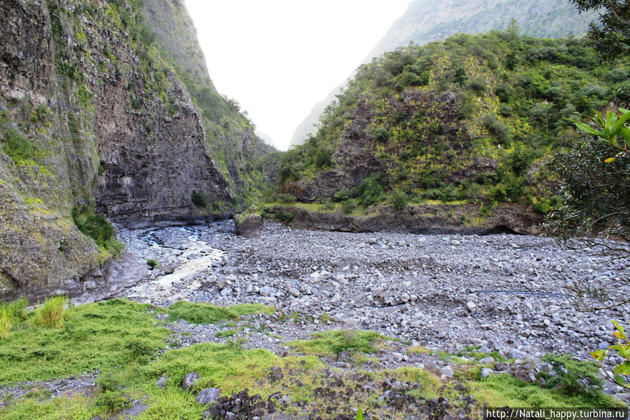 Логово без чудовищ Реюньон Логово без чудовищ Реюньон