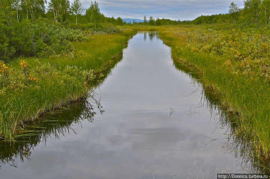 кроме реки на острове много каналов, похоже их специально расчищают Пасвик Заповедник, Россия