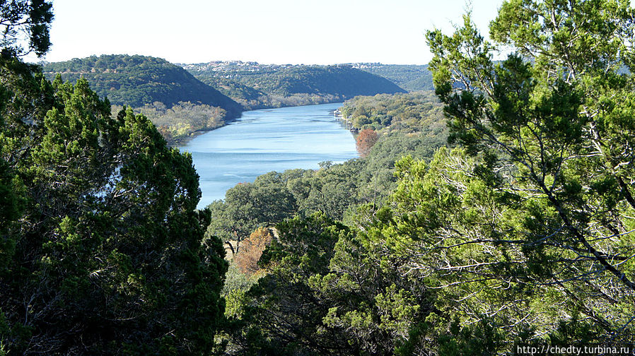 Это не лес. Это столица Техаса Остин. Это не лес. Это столица Техаса Остин.