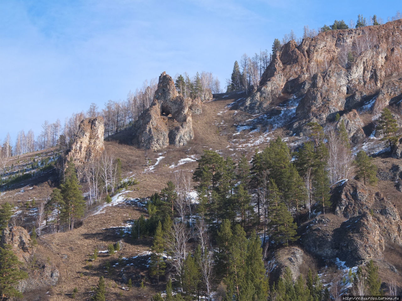 С настроением весеннего леса... Красноярск, Россия С настроением весеннего леса... Красноярск, Россия
