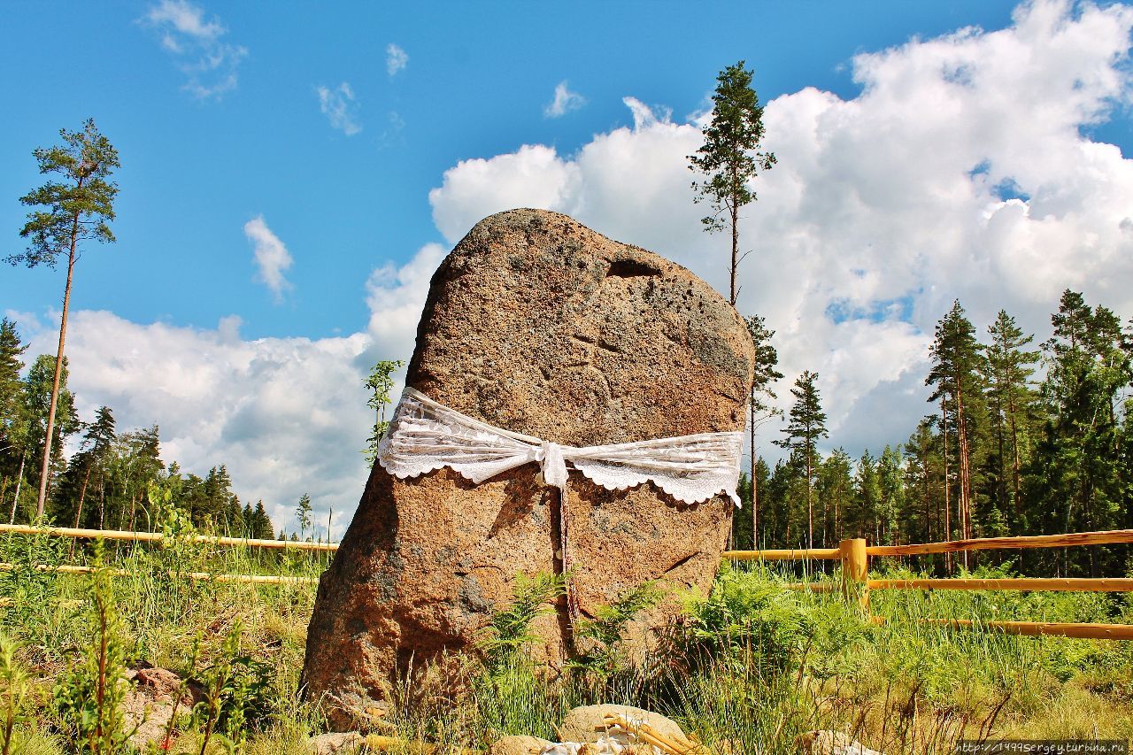 Стёп-камень Красники, Беларусь