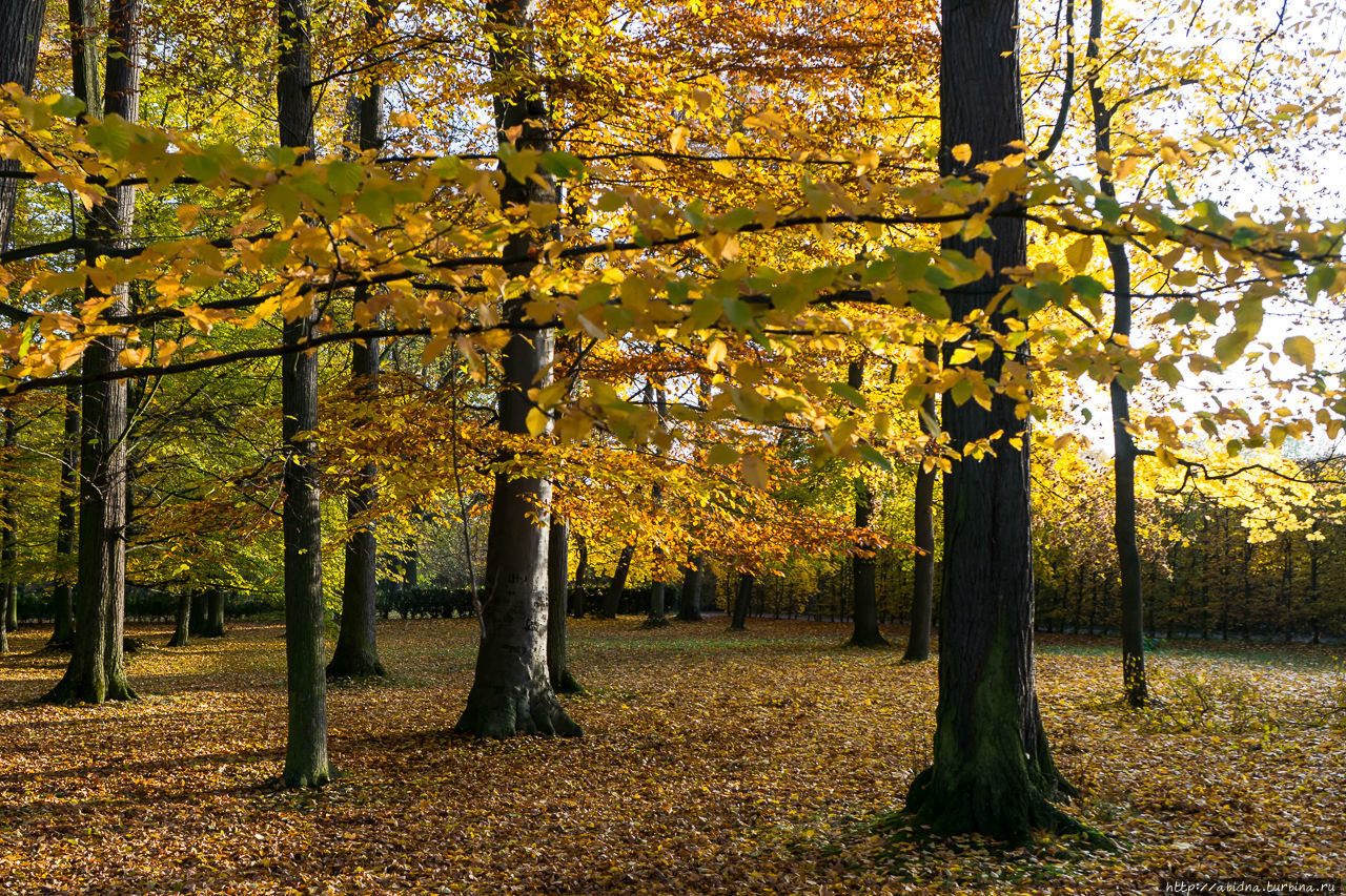 Осень в Чешском Крумлове Чешский Крумлов, Чехия