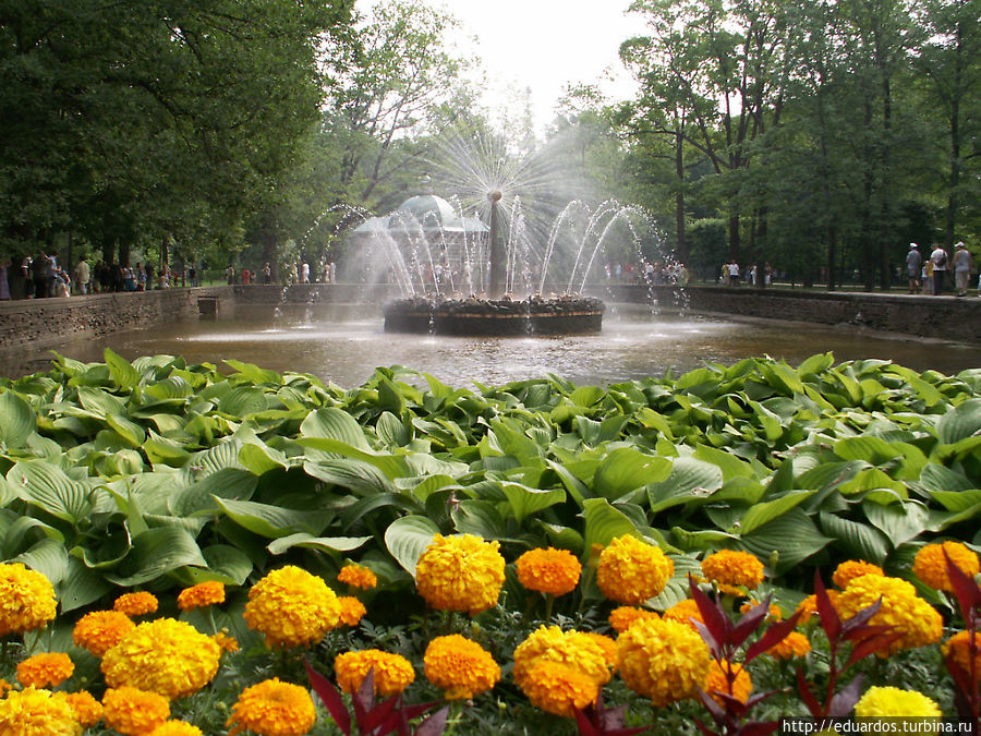 Горячо любимый Питер Санкт-Петербург, Россия Горячо любимый Питер Санкт-Петербург, Россия