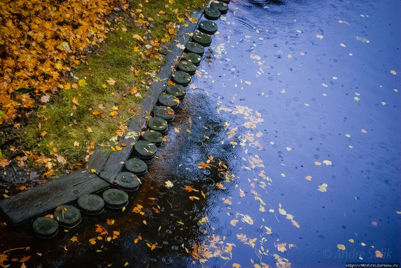в дождь у городского канала Рига, Латвия