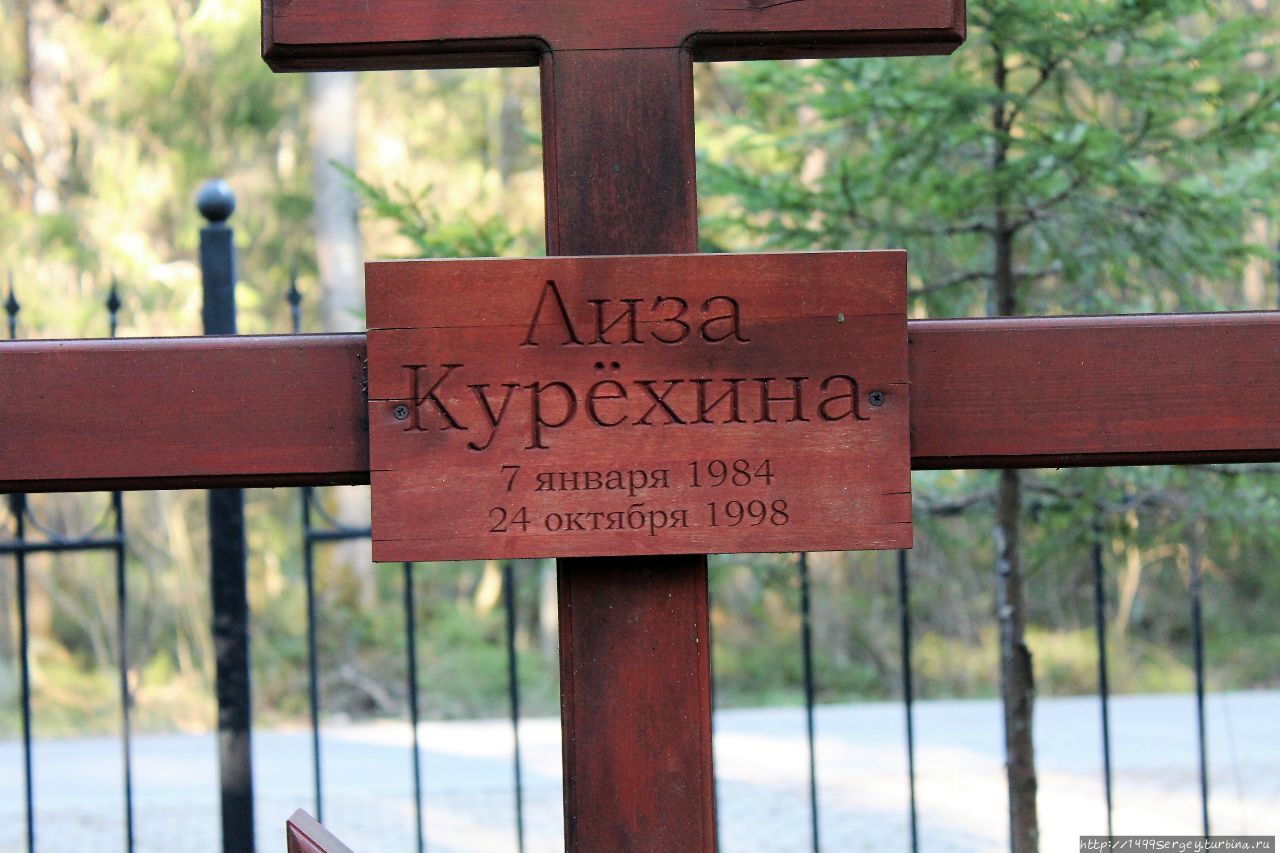 Кладбище в Комарово #2 - Вечно молодые...