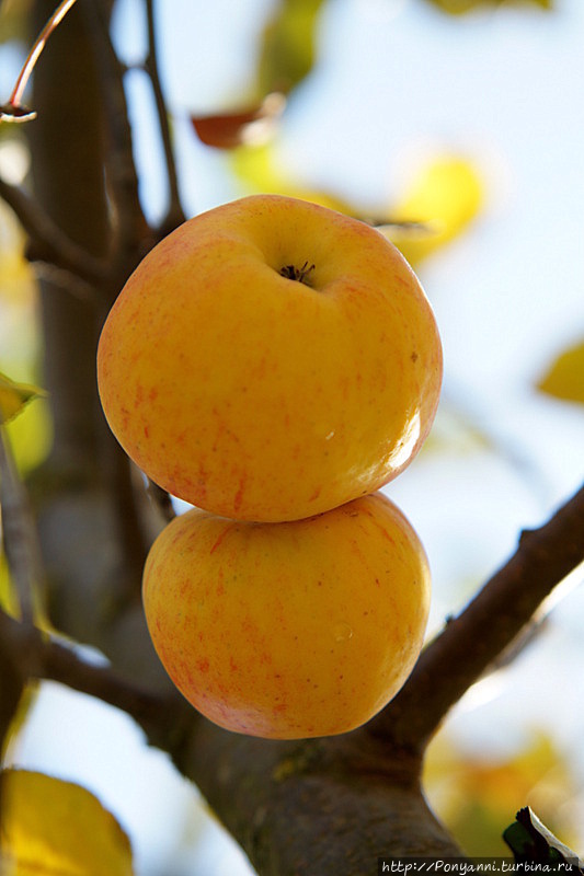Пешком вокруг осени Вайль-дер-Штадт, Германия Пешком вокруг осени Вайль-дер-Штадт, Германия