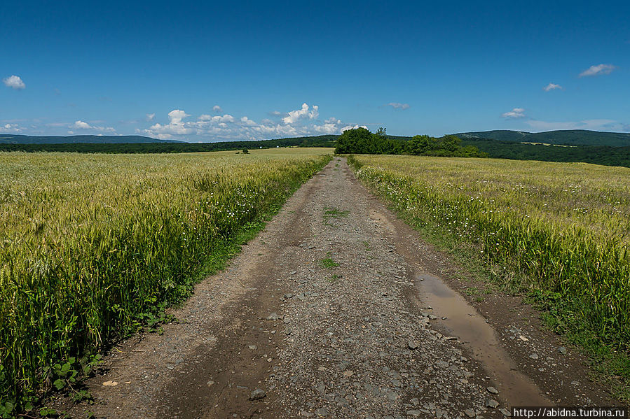 Болгарская пастораль. Горы, деревни, овечки и луга Свети-Влас, Болгария