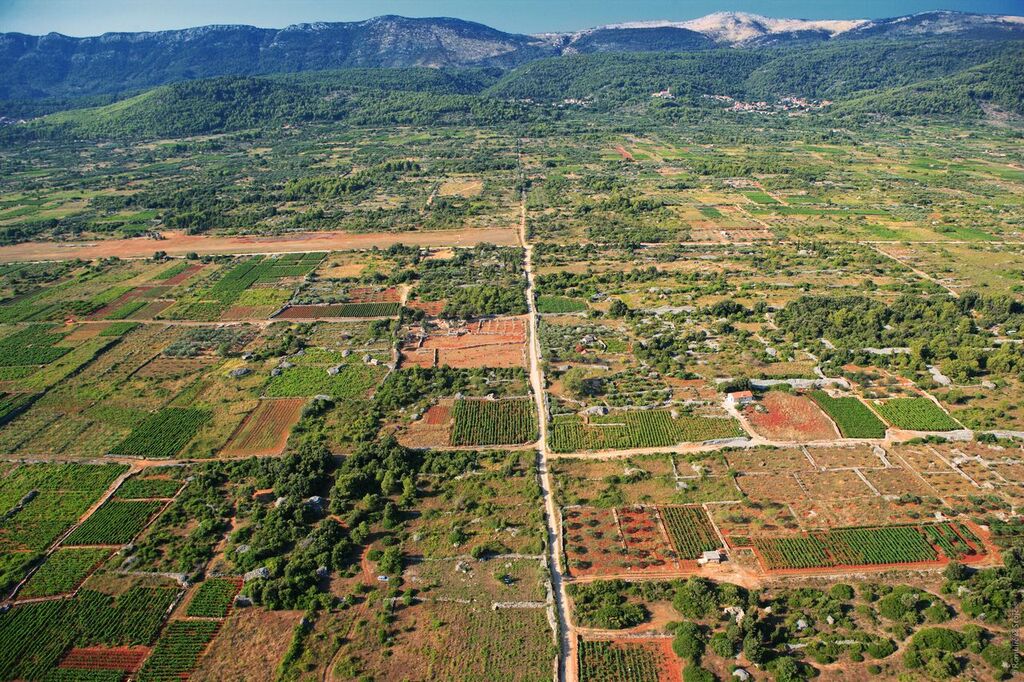 Стариградское поле сельский ландшафт / Stari Grad Agricultural Plains