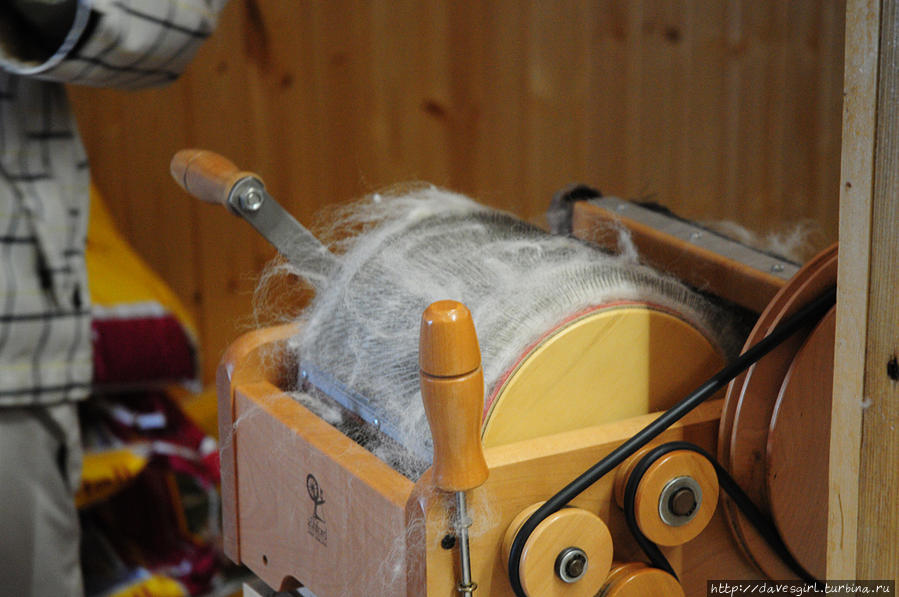 Российские альпаки Москва, Россия Российские альпаки Москва, Россия