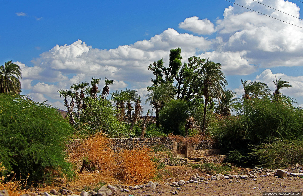 Дикиль — пустынная Пальмира Джибути Дикиль, Джибути Дикиль — пустынная Пальмира Джибути Дикиль, Джибути