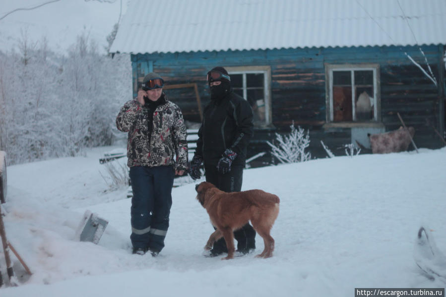 Милый глупый Чупакабра Мурманская область, Россия Милый глупый Чупакабра Мурманская область, Россия