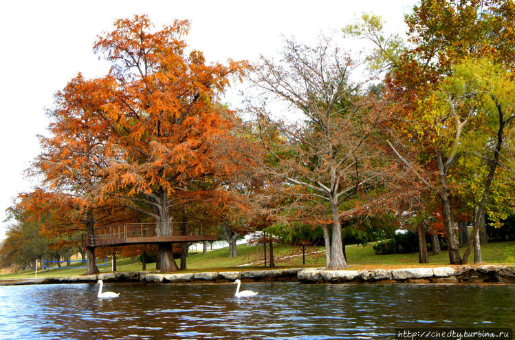 Вам черненьких не добавит Вам черненьких не добавит