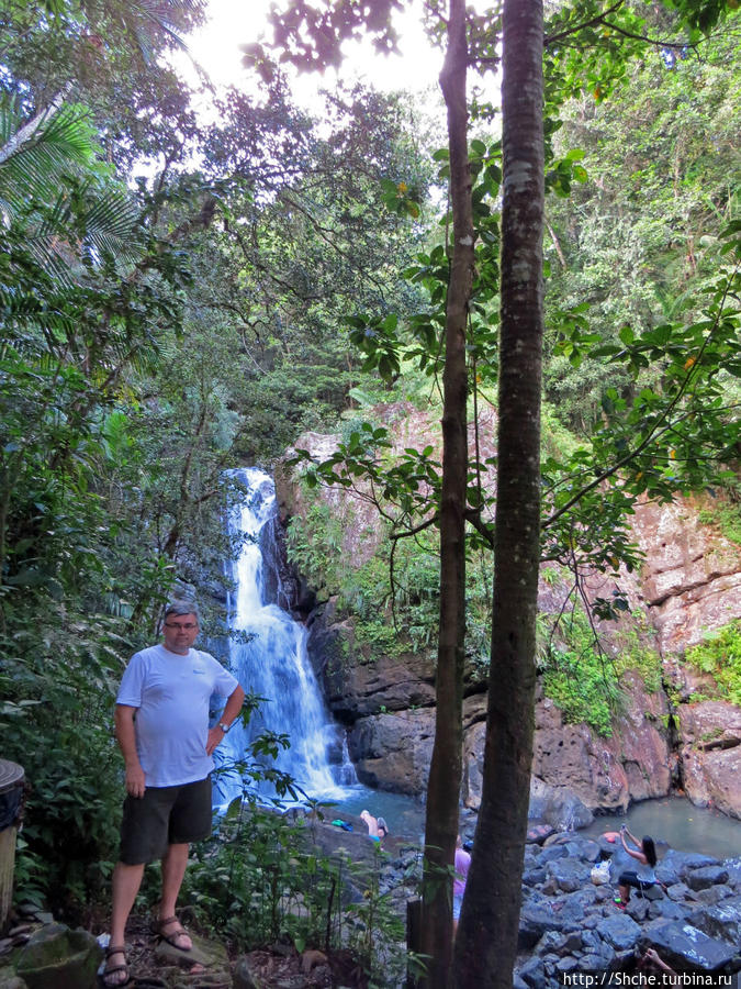 Посещение национального парка (леса) Эль Юнке Эль Юнке Национальный Лес, Пуэрто-Рико