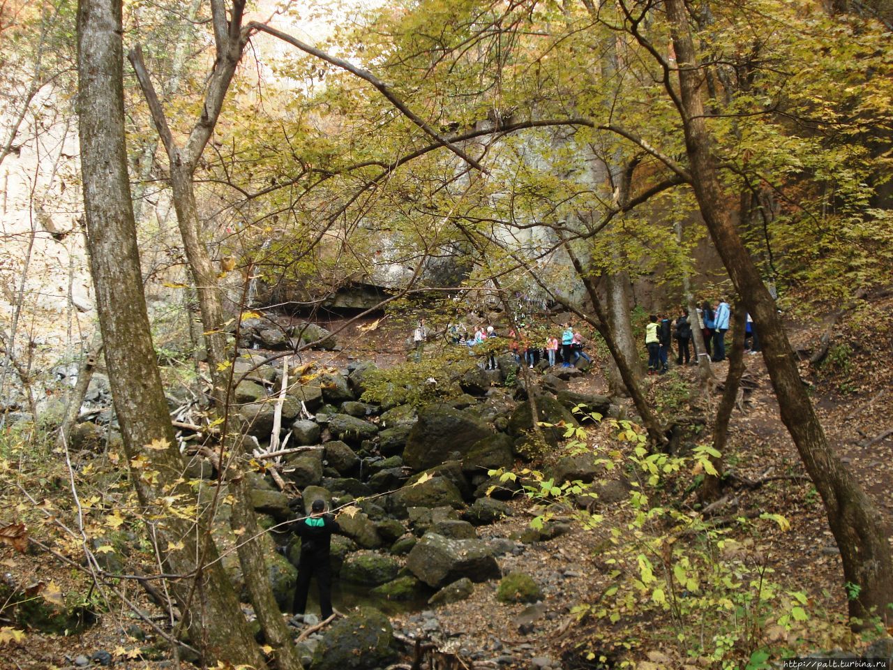 Сказка в октябре 2016 Кравцовка, Россия Сказка в октябре 2016 Кравцовка, Россия
