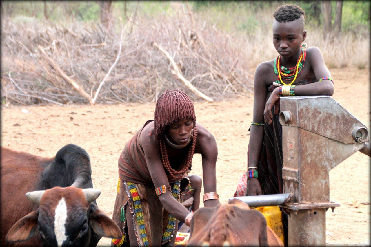 Южная Эфиопия — деревня племени Хамер Нижняя долина реки Омо, Эфиопия