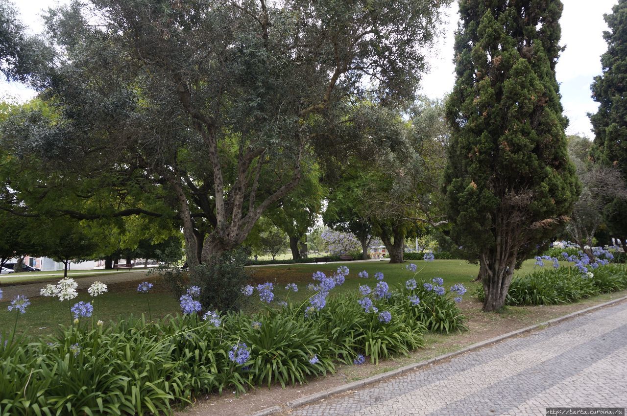 Тайм-аут в саду на площади Империи Лиссабон, Португалия