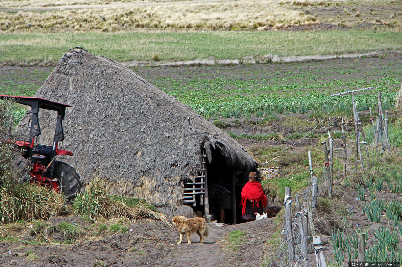 Зарисовки сельской жизни. Провинция Котопакси, Эквадор. Провинция Котопакси, Эквадор