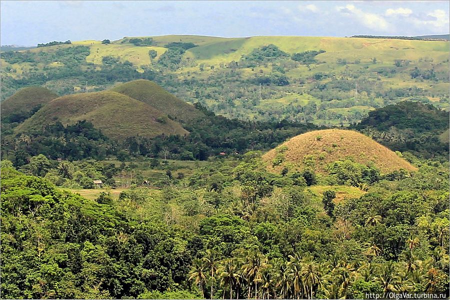 День был солнечным, но облака уже кружили над холмами, накрывая своей тенью то одну, то другую группу, словно прятали их от солнца, чтобы не растопило оно холмистые «трюфели». День был солнечным, но облака уже кружили над холмами, накрывая своей тенью то одну, то другую группу, словно прятали их от солнца, чтобы не растопило оно холмистые «трюфели».