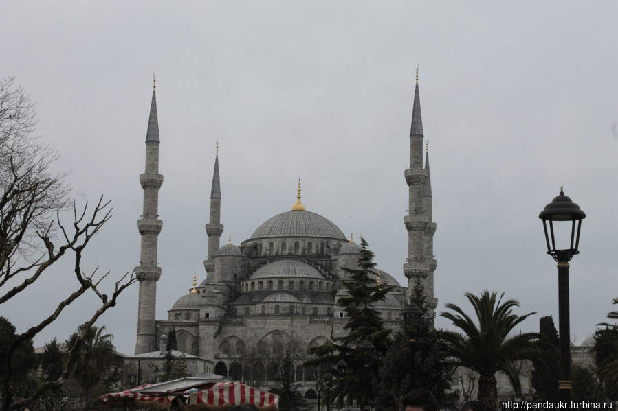 Голубая мечеть, вид из Площади Султанахмет Стамбул, Турция