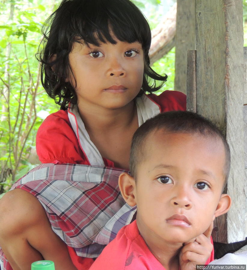 Индонезийские дети Джайпура, Индонезия