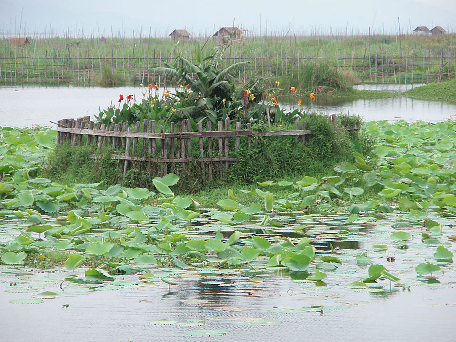 Озеро Инле. Безмятежность Озеро Инле, Мьянма Озеро Инле. Безмятежность Озеро Инле, Мьянма