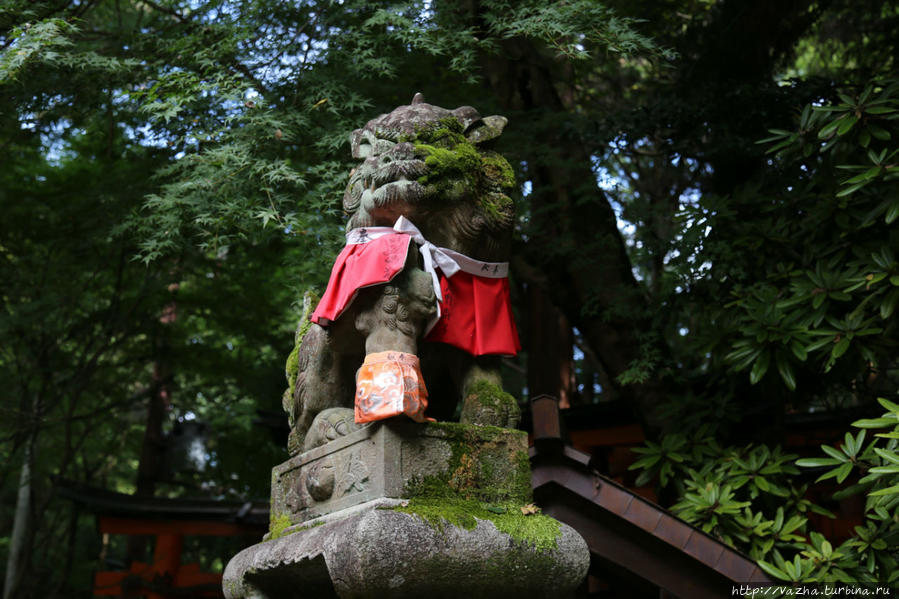 Храм Фушими Инари Тайша. Третья часть Киото, Япония