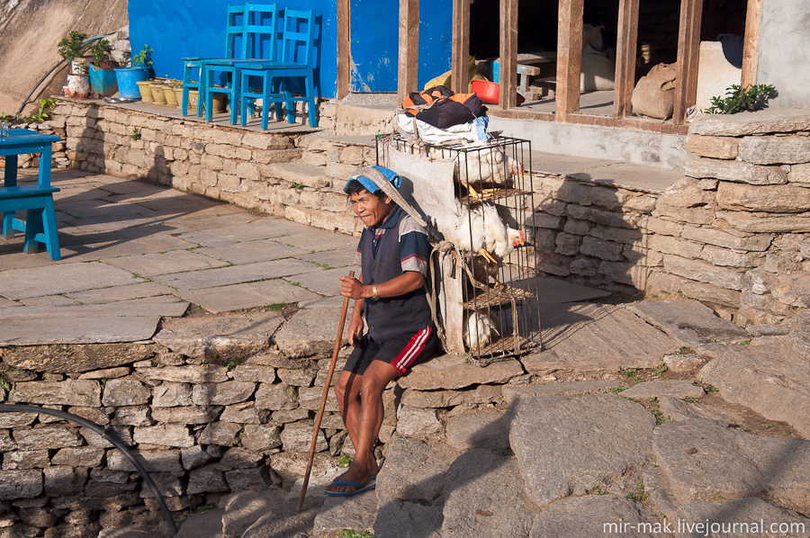 Утром за завтраком наблюдали, как происходит доставка/продажа кур. Традиционным способом переноски тяжестей, с укреплением их к голове, продавец кур носит за собой витрину со своим товаром. Непал
