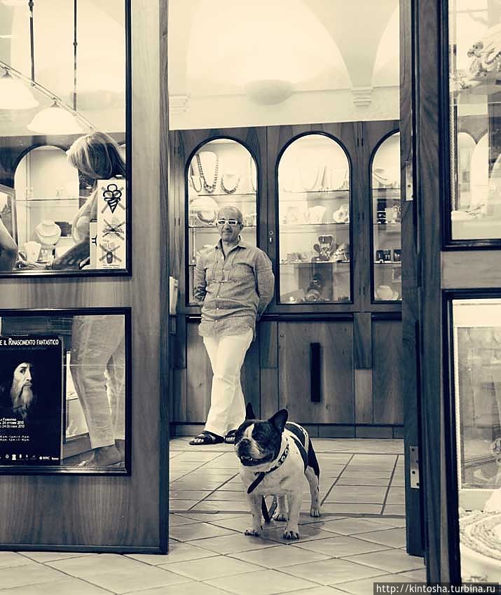 Жители Сорренто Жители Сорренто