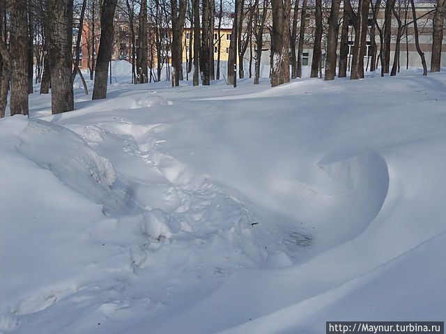 Жизнь после циклона Южно-Сахалинск, Россия Жизнь после циклона Южно-Сахалинск, Россия