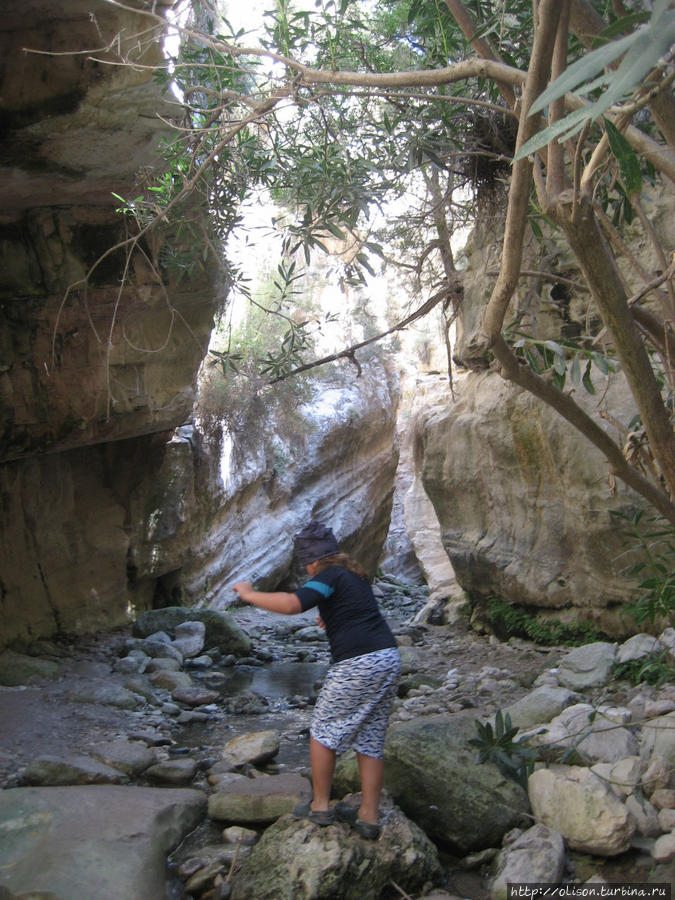 вход в ущелье Акамас полуостров Национальный Парк, Кипр