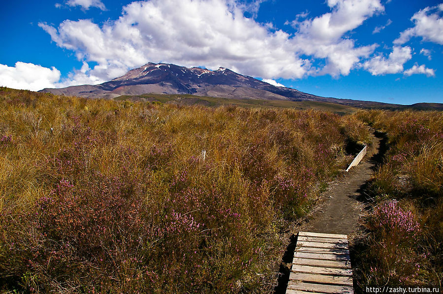Вид на вулкан Ruapehu (2797 м) — самый крупный из активных вулканов Новой Зеландии. Последнее извержение было в 2007 году. Национальный парк Тонгариро, Новая Зеландия