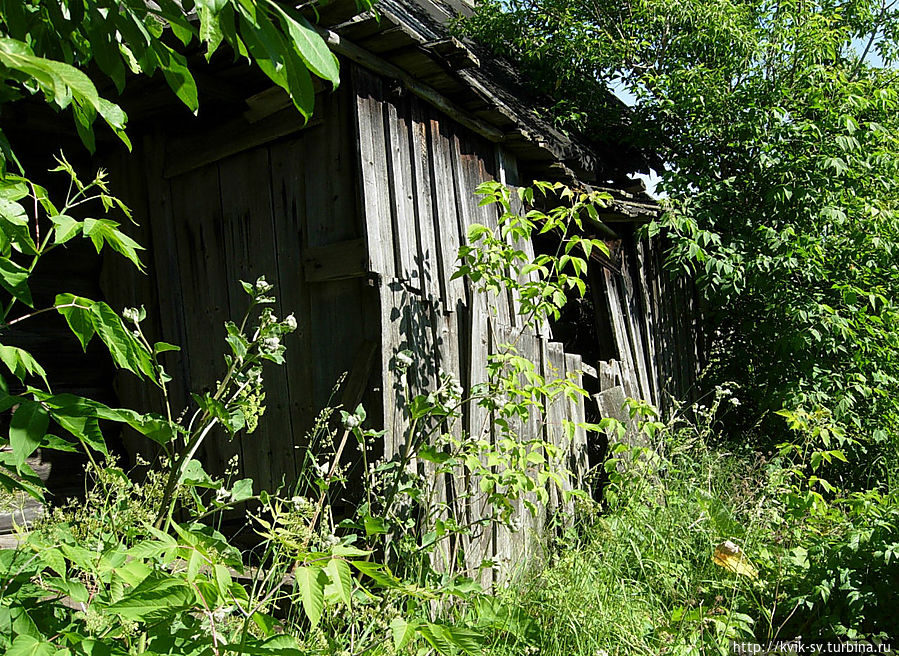 Останки домов вросшие в зелень Останки домов вросшие в зелень