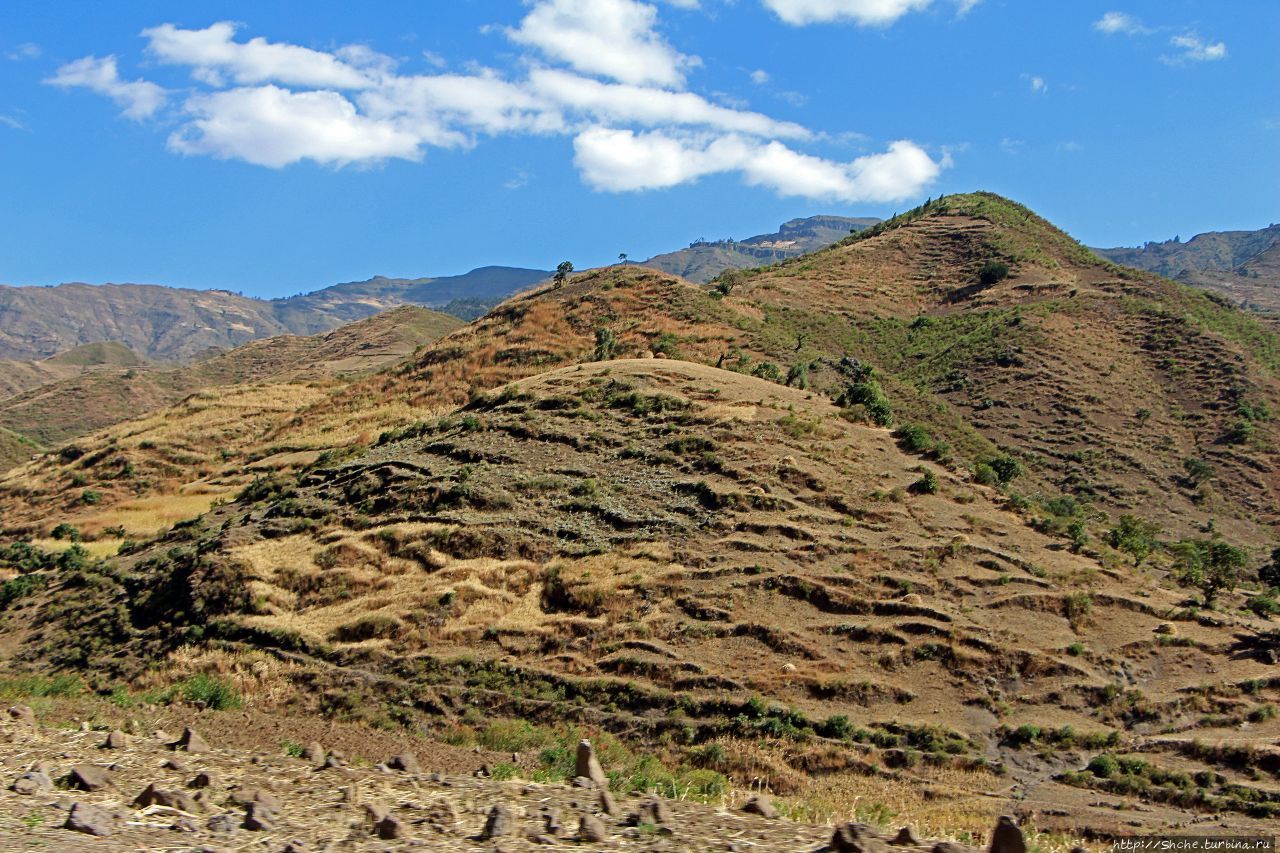 Эфиопские картинки. Живописное плоскогорье близ Лалибелы Регион Амхара, Эфиопия