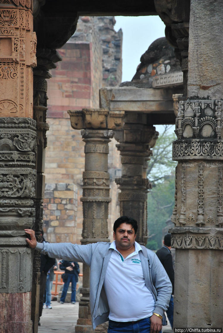 Профессиональная модель. Профессиональная модель.