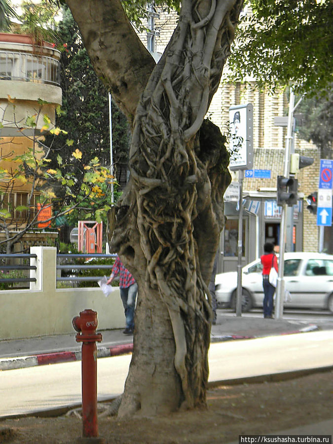 Эклектика и баухаус на бульваре Ротшильда Тель-Авив, Израиль
