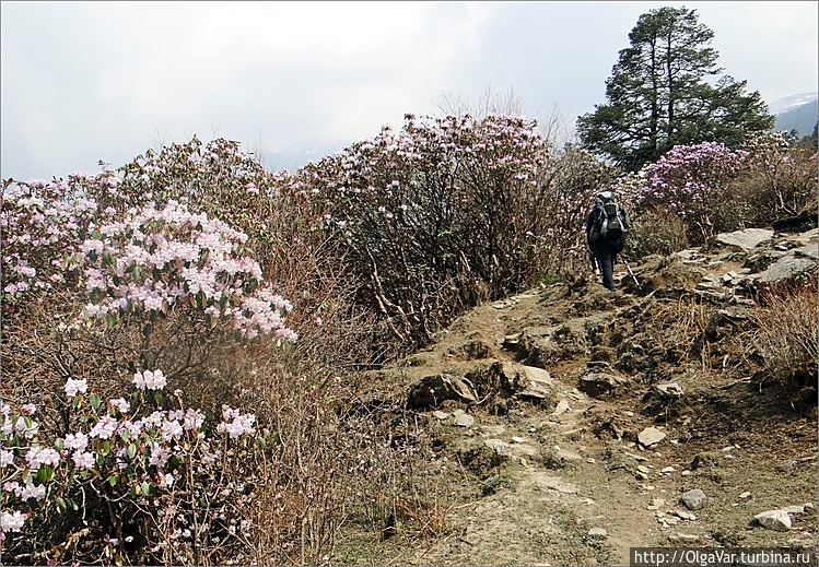 Вот она весна во всей кра Вот она весна во всей кра