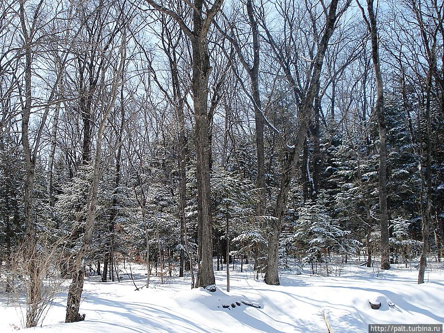 Снег, март — владивостокская весна Владивосток, Россия Снег, март — владивостокская весна Владивосток, Россия