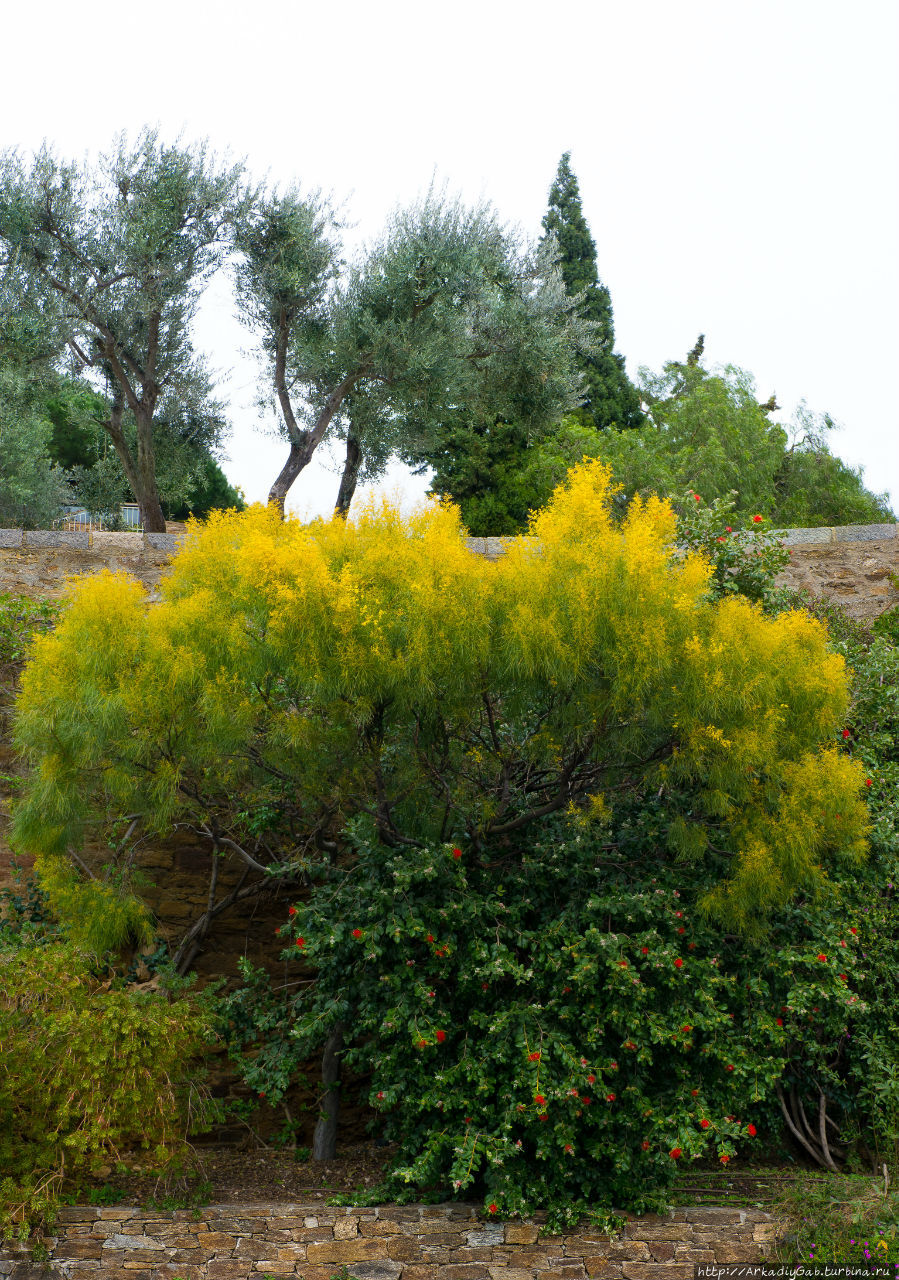 Справедливости ради нужно Справедливости ради нужно