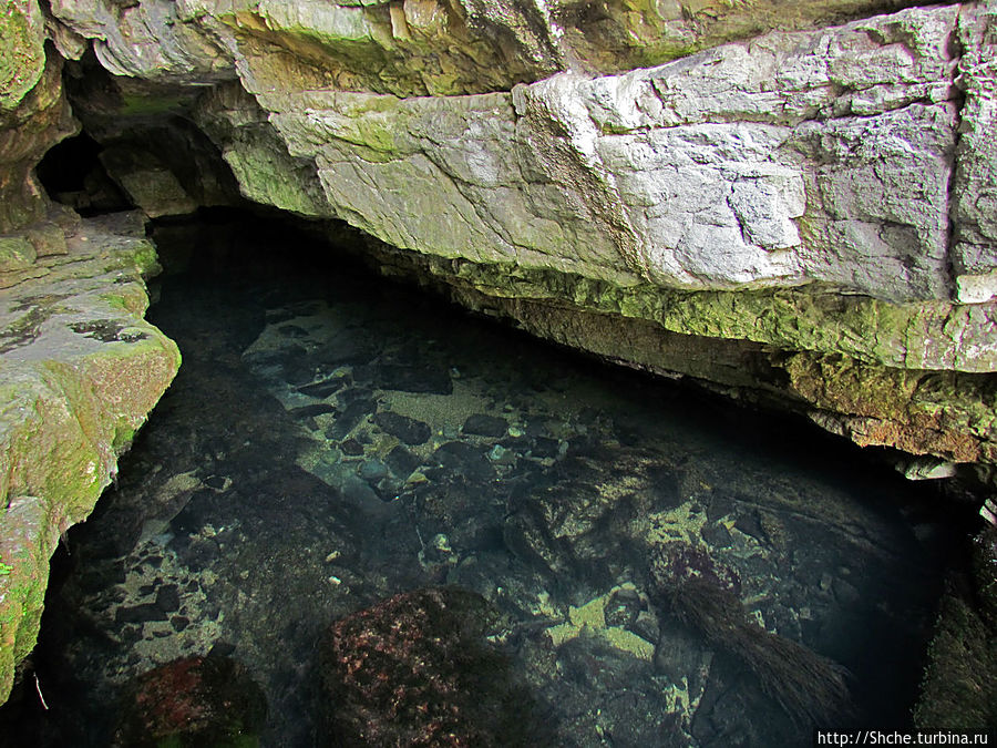 Пещера с источником  Житолюб (Жълти люб) Природный парк Врачанский Балкан, Болгария