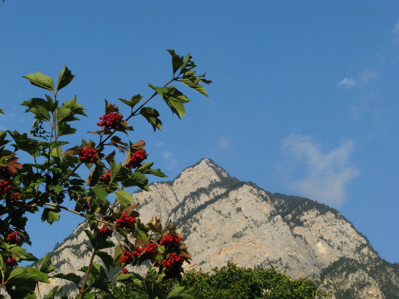 селение Зинцар Зинцар, Россия селение Зинцар Зинцар, Россия