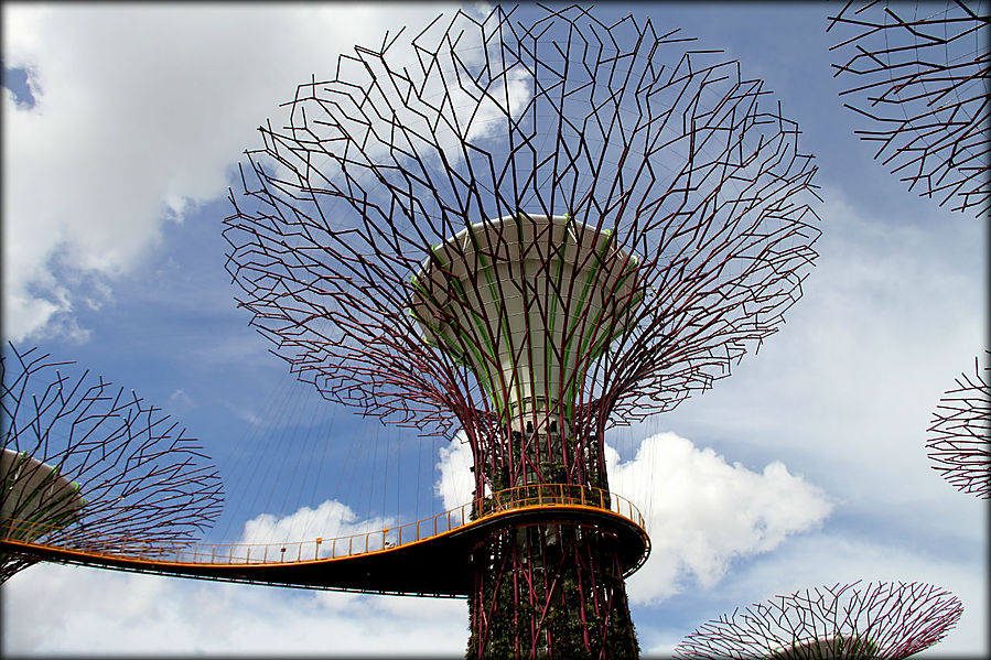 Лучший сад Сингапура или супер-деревья южного парка Сингапур (город-государство)